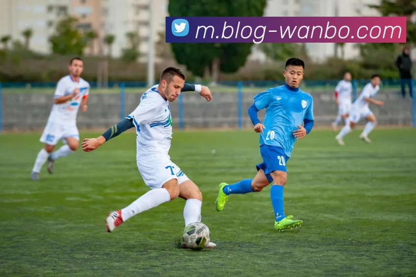 App Interface Preview