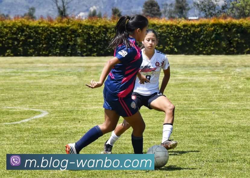 万博体育APP 封面图